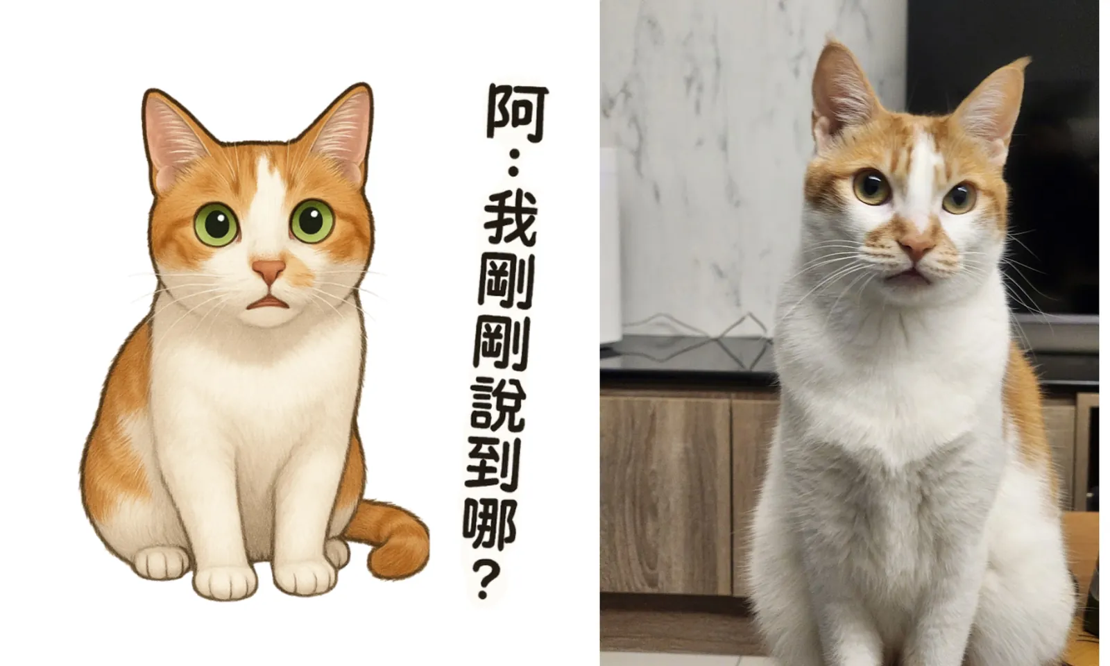 真貓Yumi與AI生成的LINE貼圖對比]